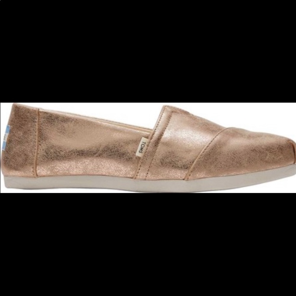 BRAND NEW CHAMPAGNE TOMS
